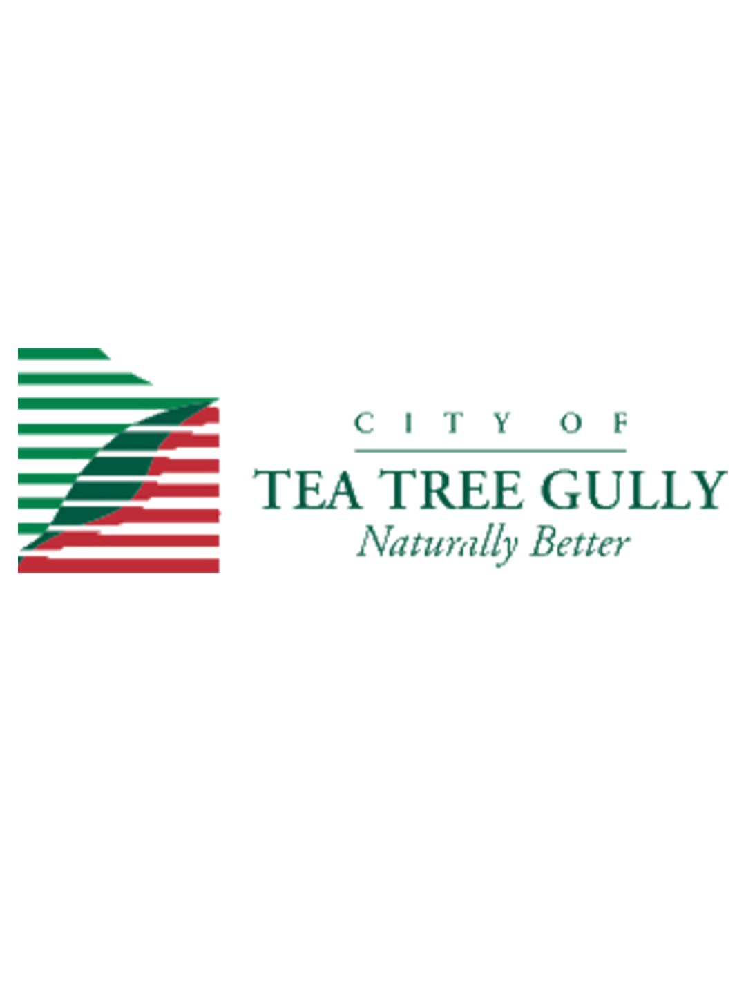 Tea Tree Gully Cricket Program